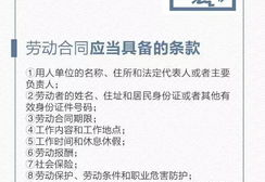 看合同应该找什么人看,识别关键人物与专业团队