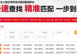 上海公务员网,报考指南与备考策略