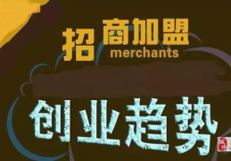 创业加盟项目,热门加盟项目深度解析