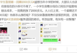 小学生怎么赚钱,“小学生多元化赚钱途径与成长启示录”
