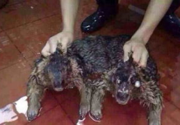 水猴水鬼,民间传说中的神秘水怪与溺死冤魂
