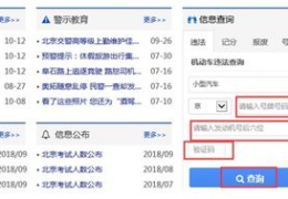 只需输入车牌号查询违章,轻松掌握车牌号查询违章全攻略