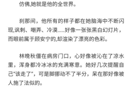《玩火》疯子三三,疯子三三的疯狂冒险之旅